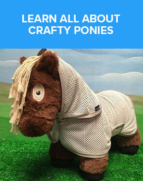 Learn All About Crafty Ponies
